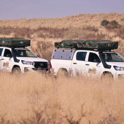 udrive | 4x4 | rentals | tours | lion | big five | rent | vehicle | holiday | tourism | drive | southern africa | namibia | botswana | sa | destinations | campsite | camping | sanparks | offroad | africa | fully equipped