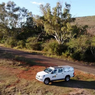 udrive | 4x4 | rentals | tours | lion | big five | rent | vehicle | holiday | tourism | drive | southern africa | namibia | botswana | sa | destinations | campsite | camping | sanparks | offroad | africa | fully equipped | safari | adventure | rentals