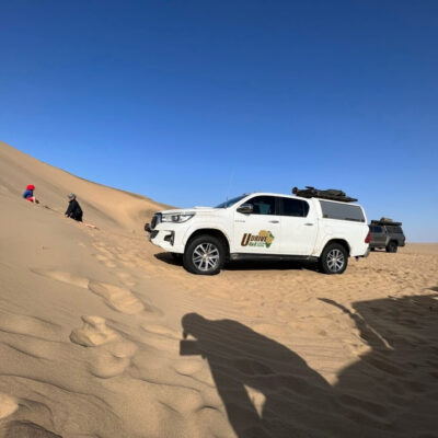 udrive | 4x4 | rentals | tours | lion | big five | rent | vehicle | holiday | tourism | drive | southern africa | namibia | botswana | sa | destinations | campsite | camping | sanparks | offroad | africa | fully equipped | safari | adventure | rentals