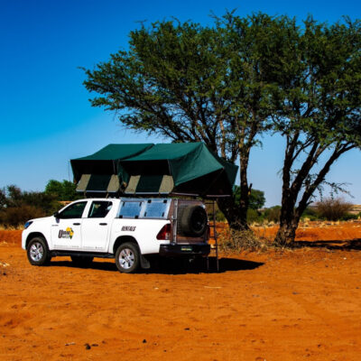 udrive | 4x4 | rentals | tours | lion | big five | rent | vehicle | holiday | tourism | drive | southern africa | namibia | botswana | sa | destinations | campsite | camping | sanparks | offroad | africa | fully equipped | safari | adventure | rentals