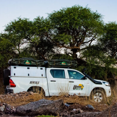 udrive | 4x4 | rentals | tours | lion | big five | rent | vehicle | holiday | tourism | drive | southern africa | namibia | botswana | sa | destinations | campsite | camping | sanparks | offroad | africa | fully equipped | safari | adventure | rentals