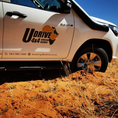 udrive | 4x4 | rentals | tours | lion | big five | rent | vehicle | holiday | tourism | drive | southern africa | namibia | botswana | sa | destinations | campsite | camping | sanparks | offroad | africa | fully equipped