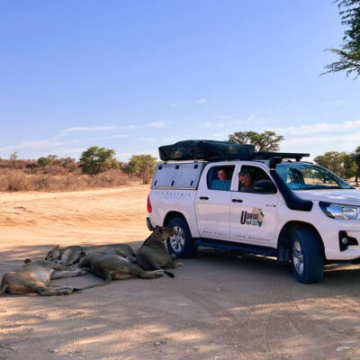 udrive | 4x4 | rentals | tours | lion | big five | rent | vehicle | holiday | tourism | drive | southern africa | namibia | botswana | sa | destinations | campsite | camping | sanparks | offroad | africa | fully equipped